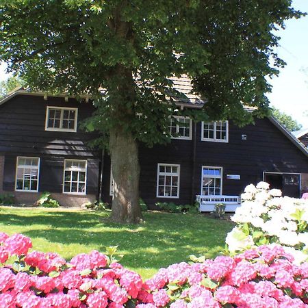 Op Zestien Apartamento Hippolytushoef Exterior foto